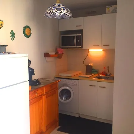 Apartamento 2 Pieces A Sete, 200m De La Plage, Parking Prive, Loggia Et Toutes Commodites - Fr-1-338-531