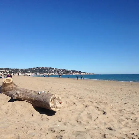 2 Pièces à Sète, 200m De La Plage, Parking Privé, Loggia Et Toutes Commodités - Fr-1-338-531 Appartamento