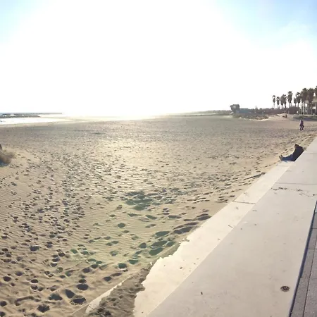 2 Pieces A Sete, 200m De La Plage, Parking Prive, Loggia Et Toutes Commodites - Fr-1-338-531 *