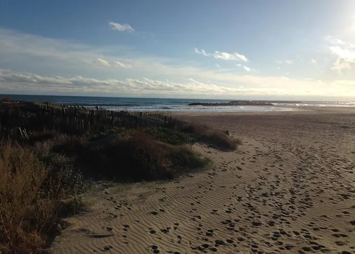 2 Pieces A Sete, 200m De La Plage, Parking Prive, Loggia Et Toutes Commodites - Fr-1-338-531 Appartement *